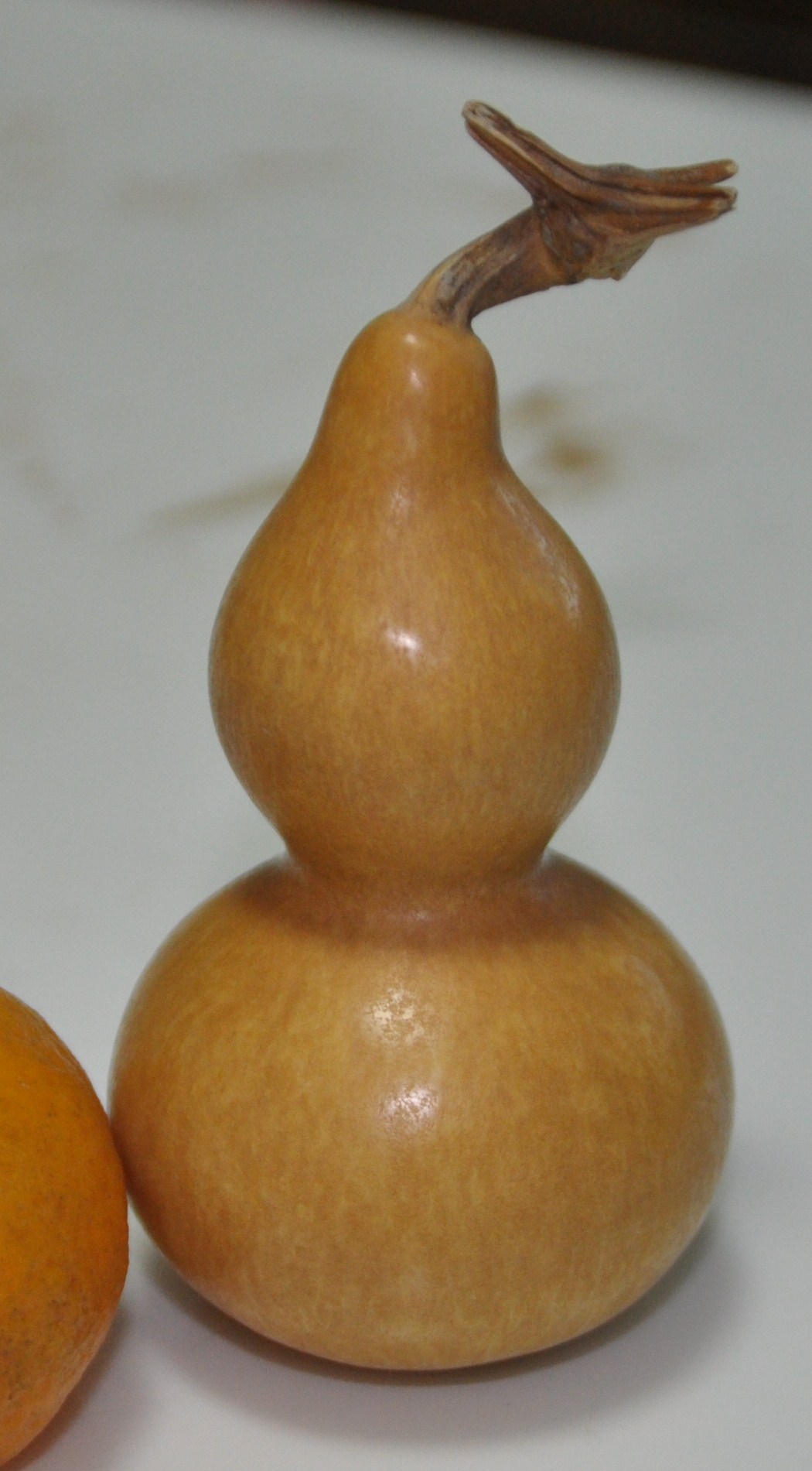 DSC_0024.JPG