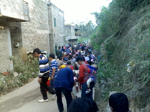 20101110010.jpg