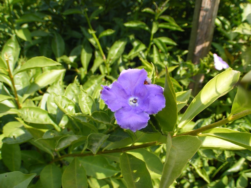 DSCF0028.JPG