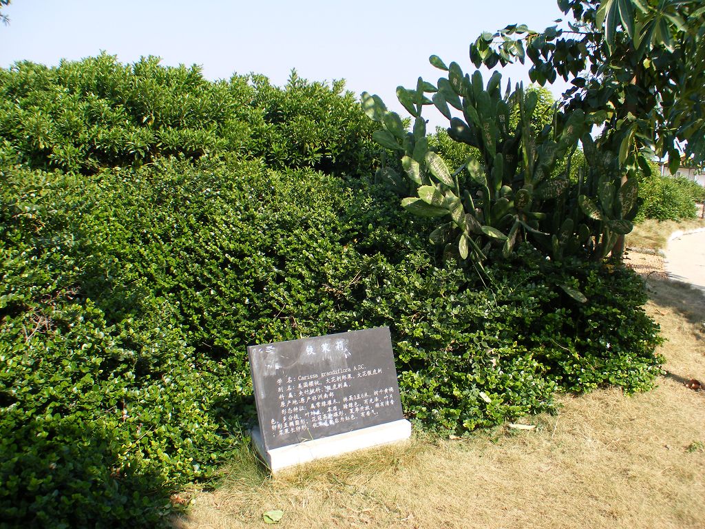 DSCF0039.JPG