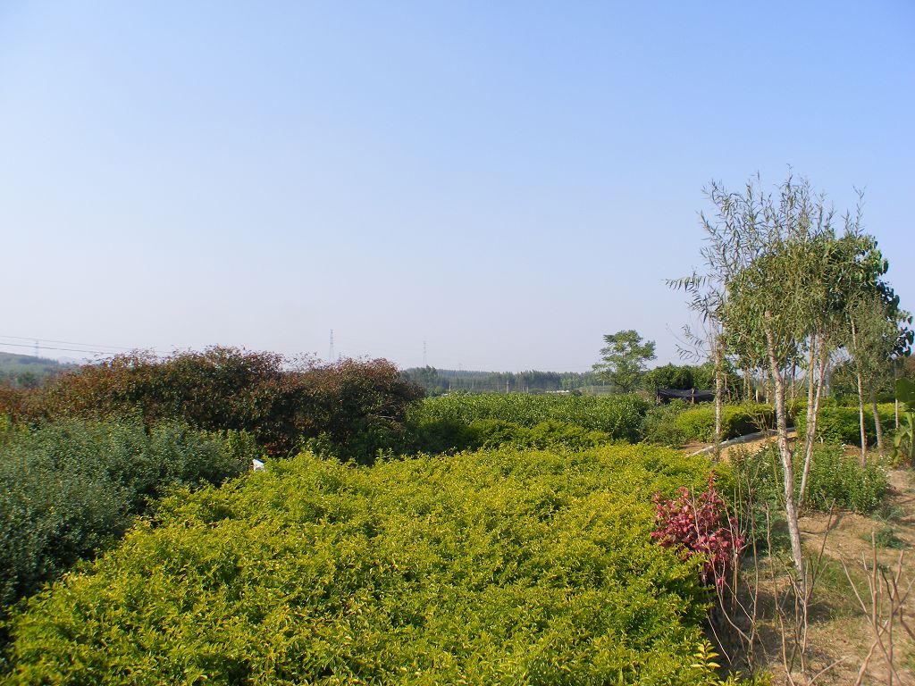 DSCF0073.JPG