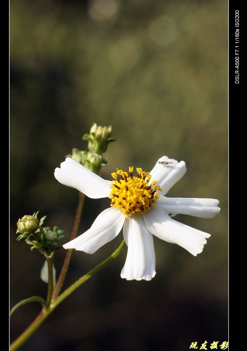 a8195868_s.jpg