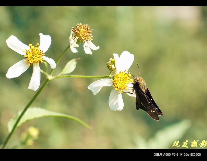 a8195875_s.jpg
