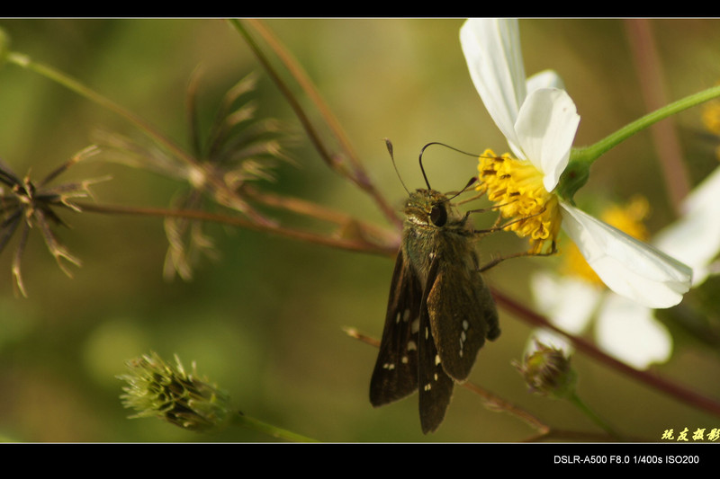 a8195902_s.jpg