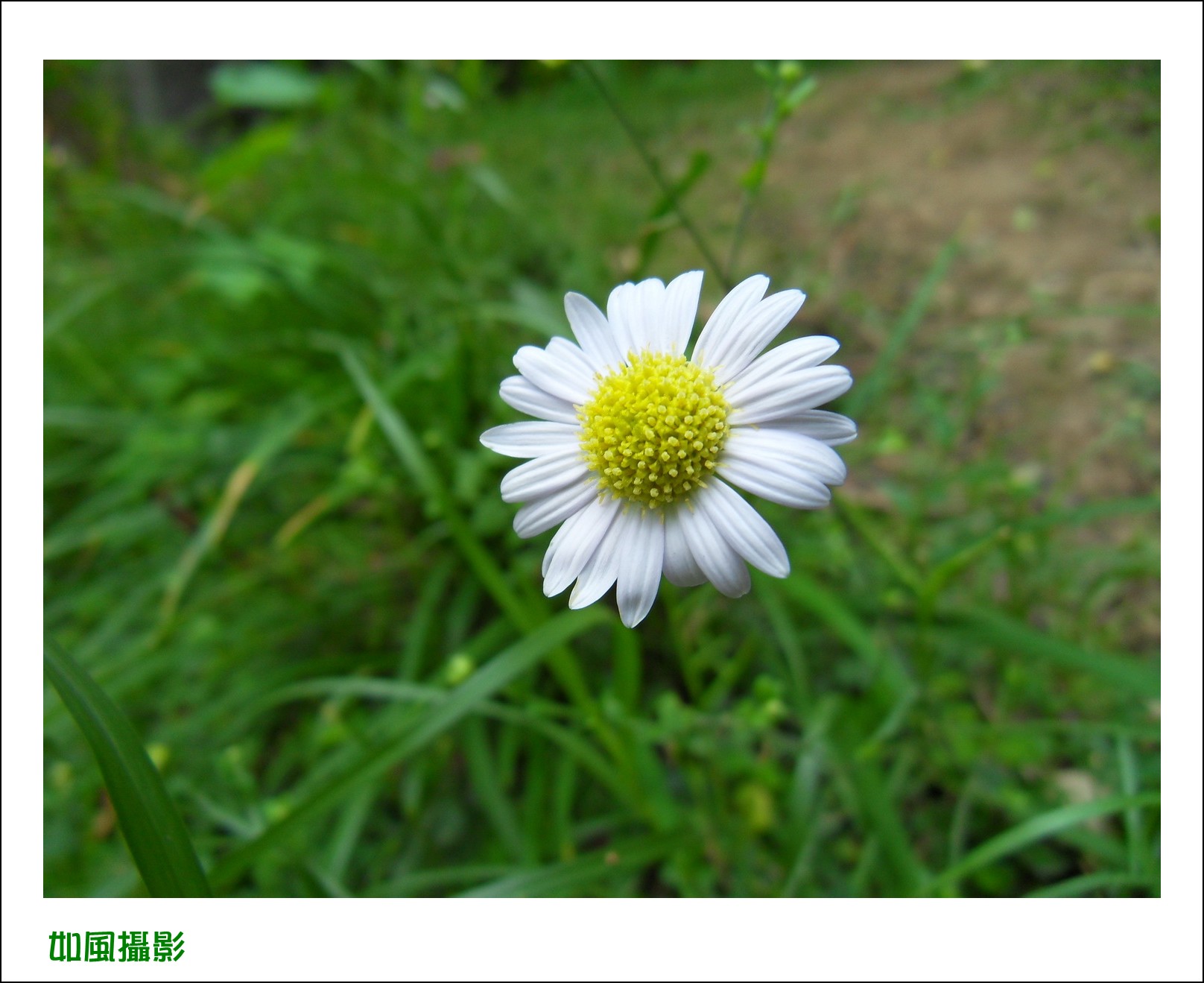 SDC16793_conew1.jpg