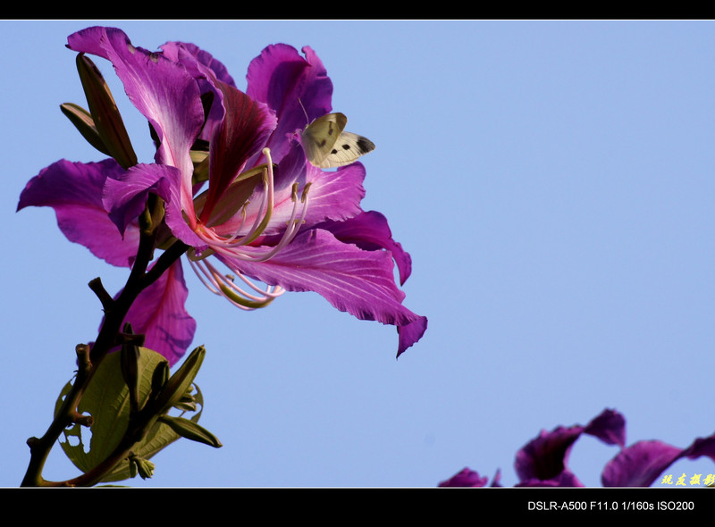 a8204195_s.jpg
