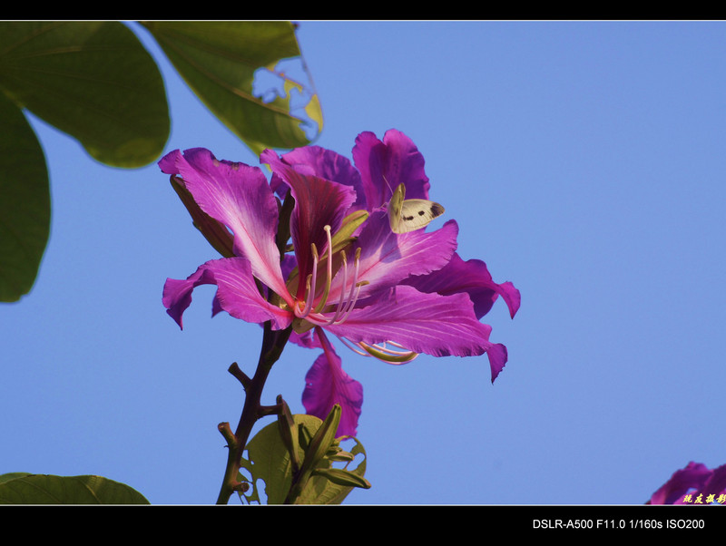 a8204206_s.jpg