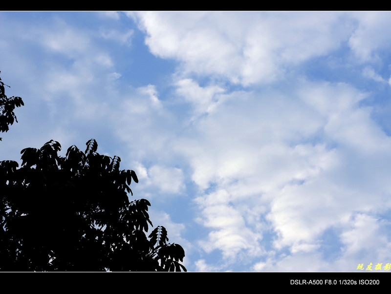 a8207011_s.jpg