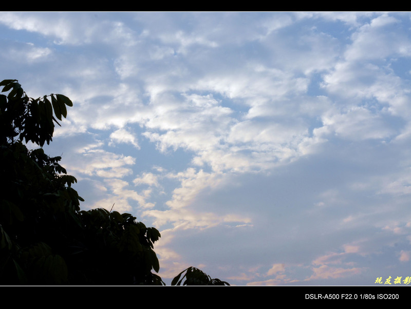 a8207080_s.jpg