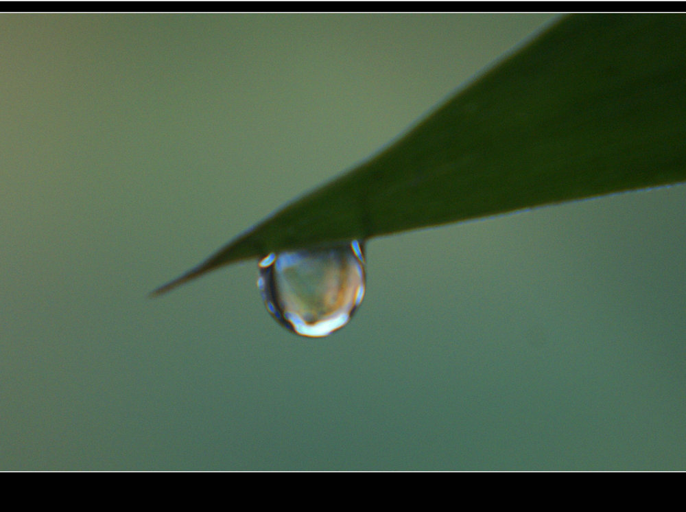 DSC06604.JPG