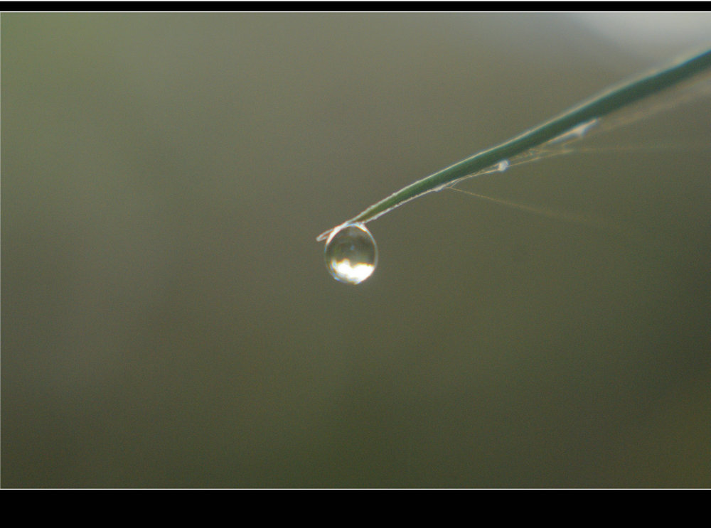 DSC06615.JPG