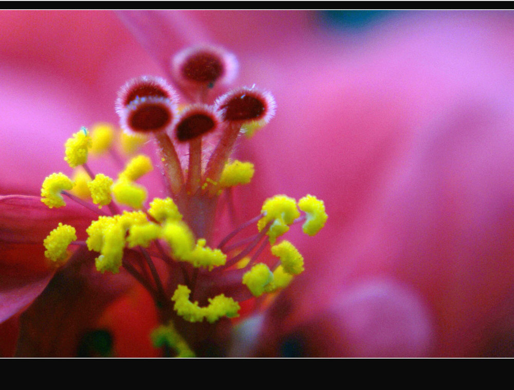 DSC07877.JPG