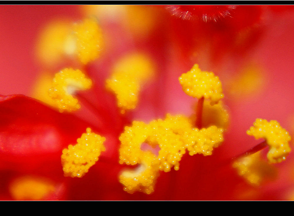 DSC07916_副本1.JPG