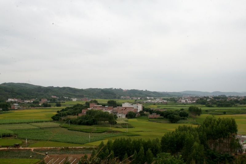 IMG_0004.jpg