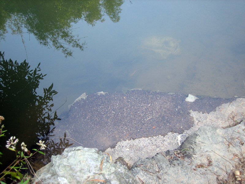 老村 (86).jpg
