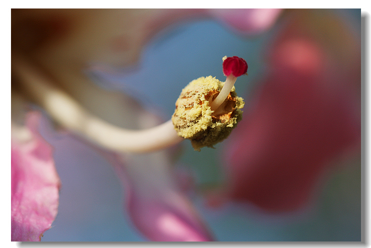 IMG_9321-1.jpg