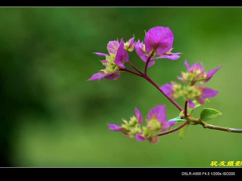 a8293218_s.jpg