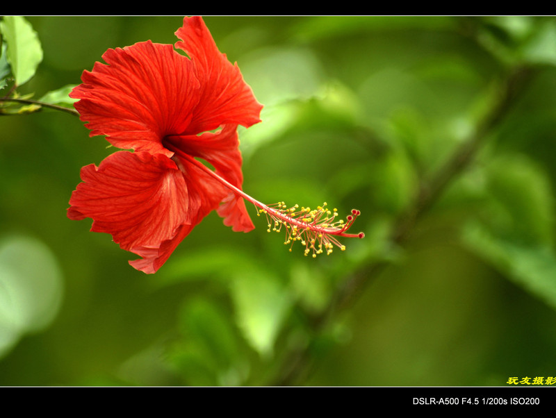 a8293233_s.jpg