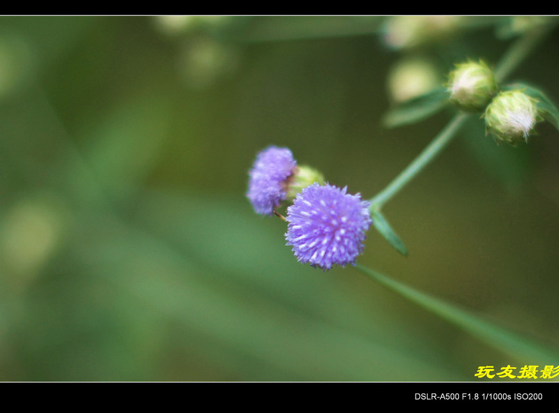 a8296517_s.jpg