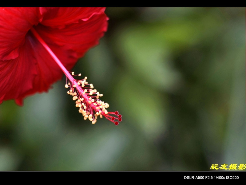 a8296522_s.jpg