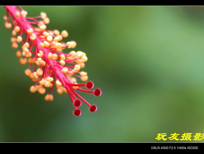 a8296526_s.jpg