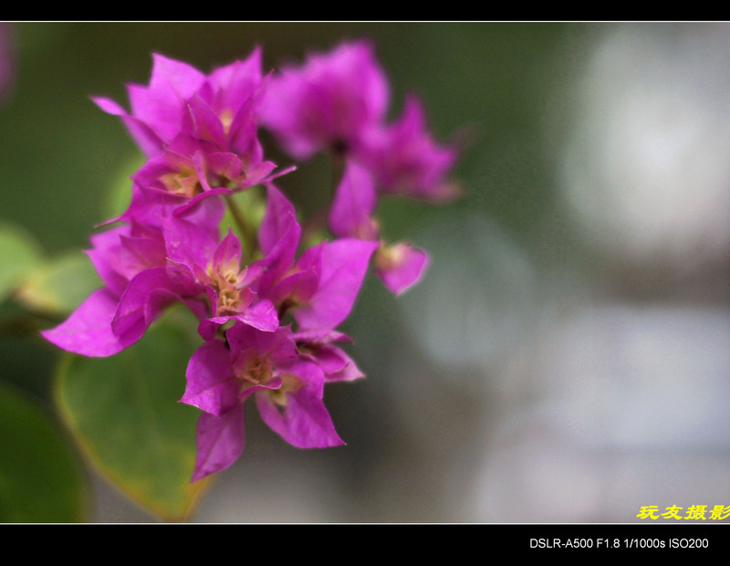 a8296539_s.jpg