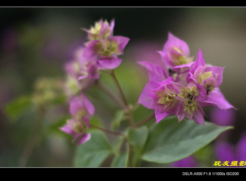 a8296577_s.jpg