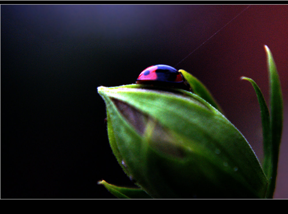 DSC08164.JPG