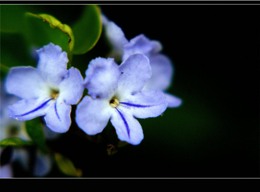 DSC08356.JPG