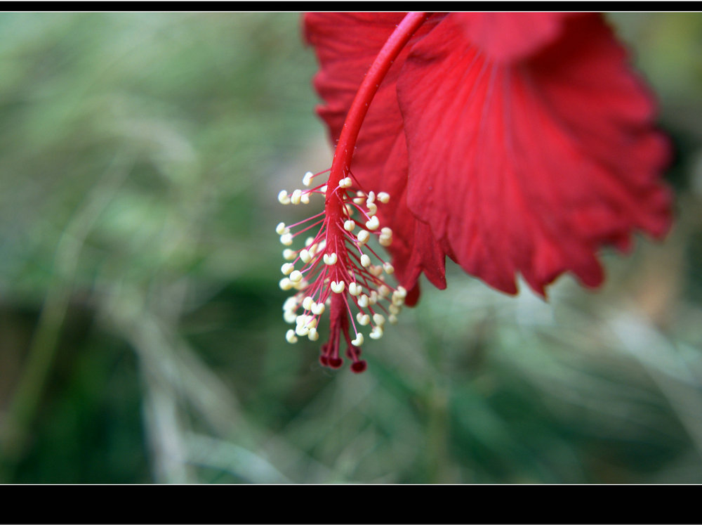DSC08259.jpg