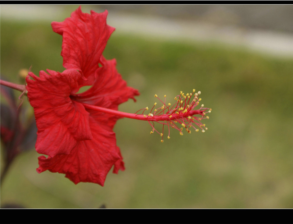 DSC08265.jpg