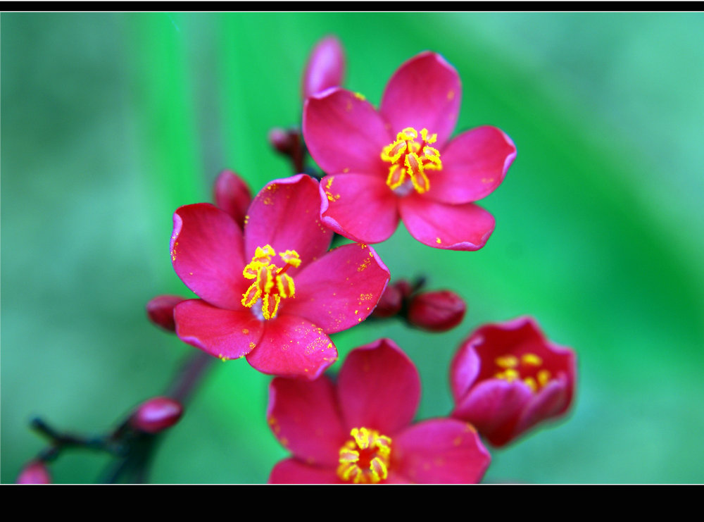 DSC08275.jpg
