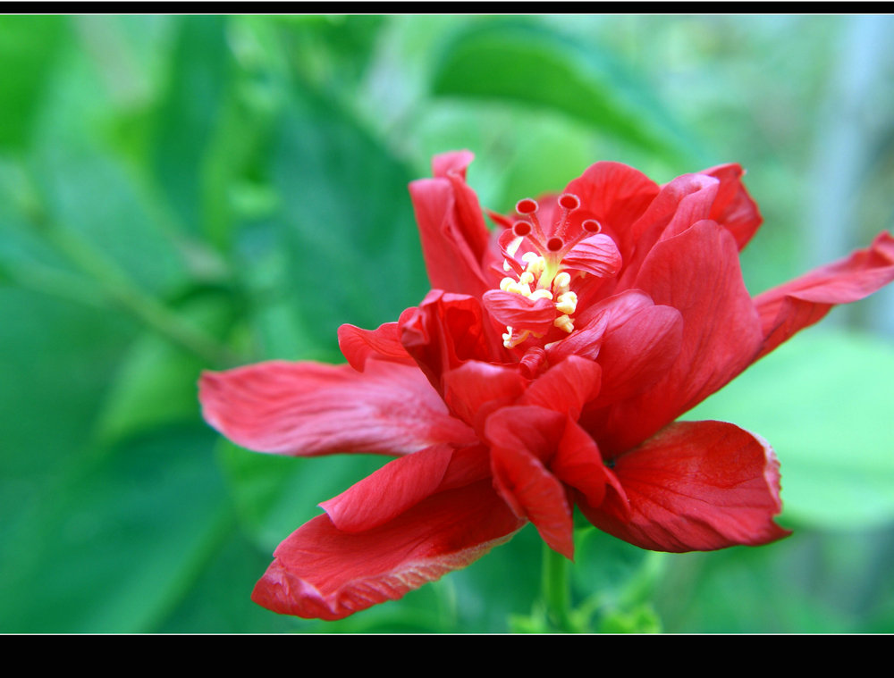 DSC08285.jpg