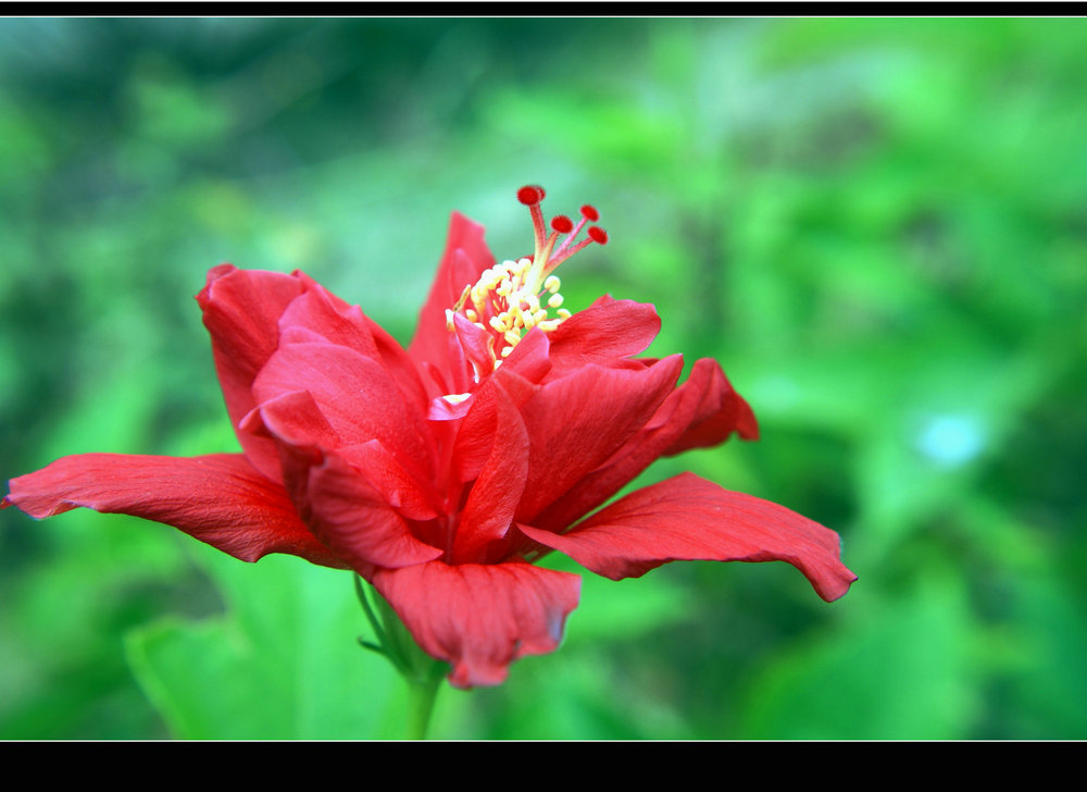 DSC08286.jpg