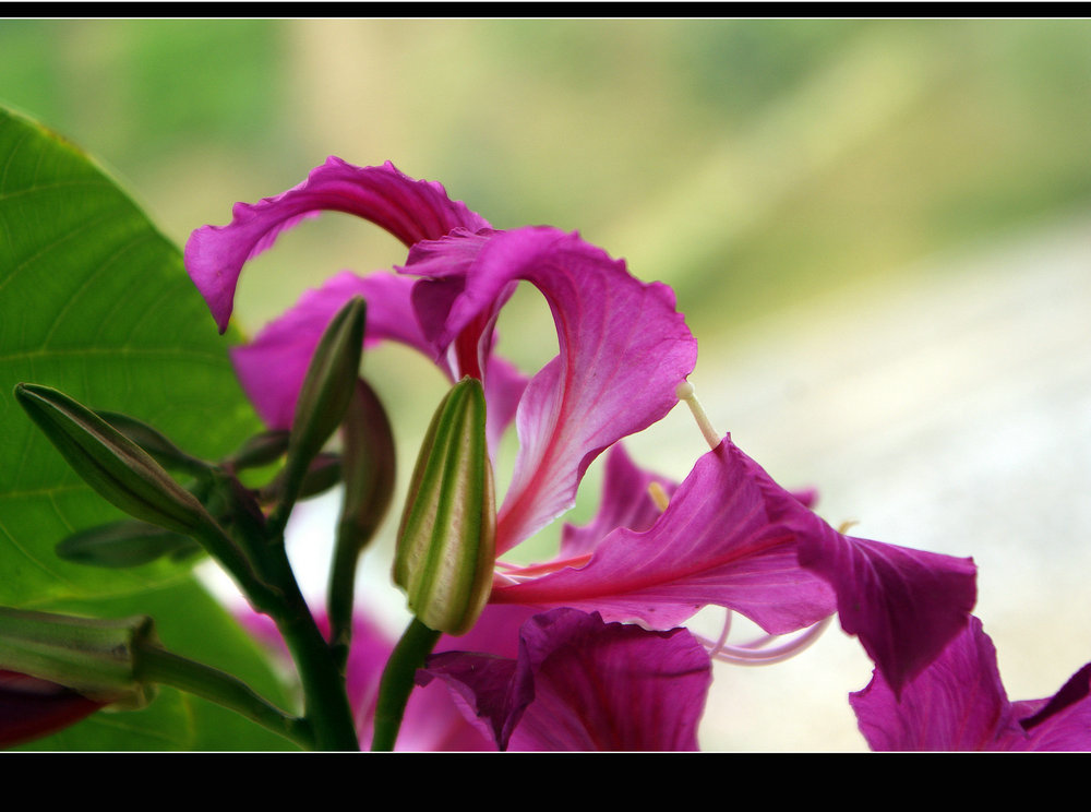 DSC08314.jpg