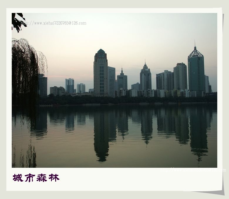 DSCF0348.jpg