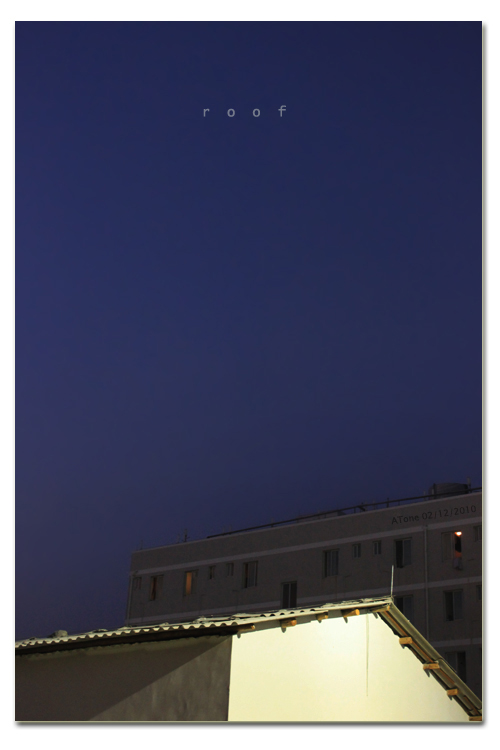 05.jpg