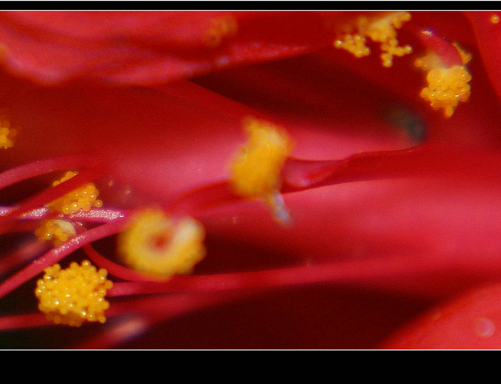 DSC09117.jpg