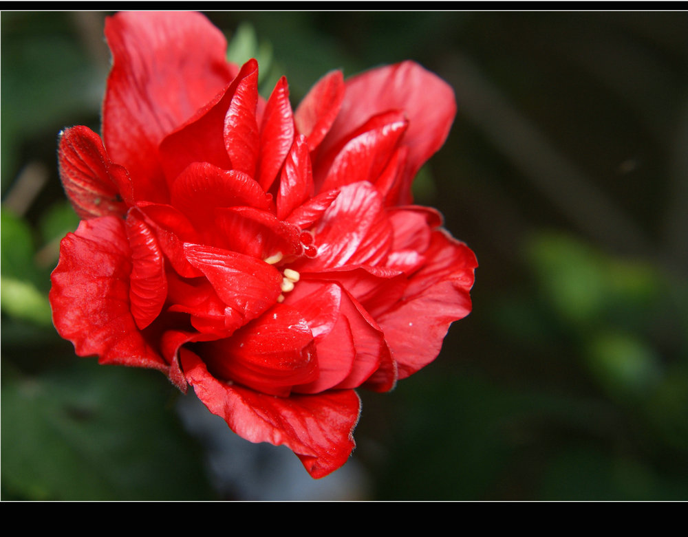 DSC09098.jpg