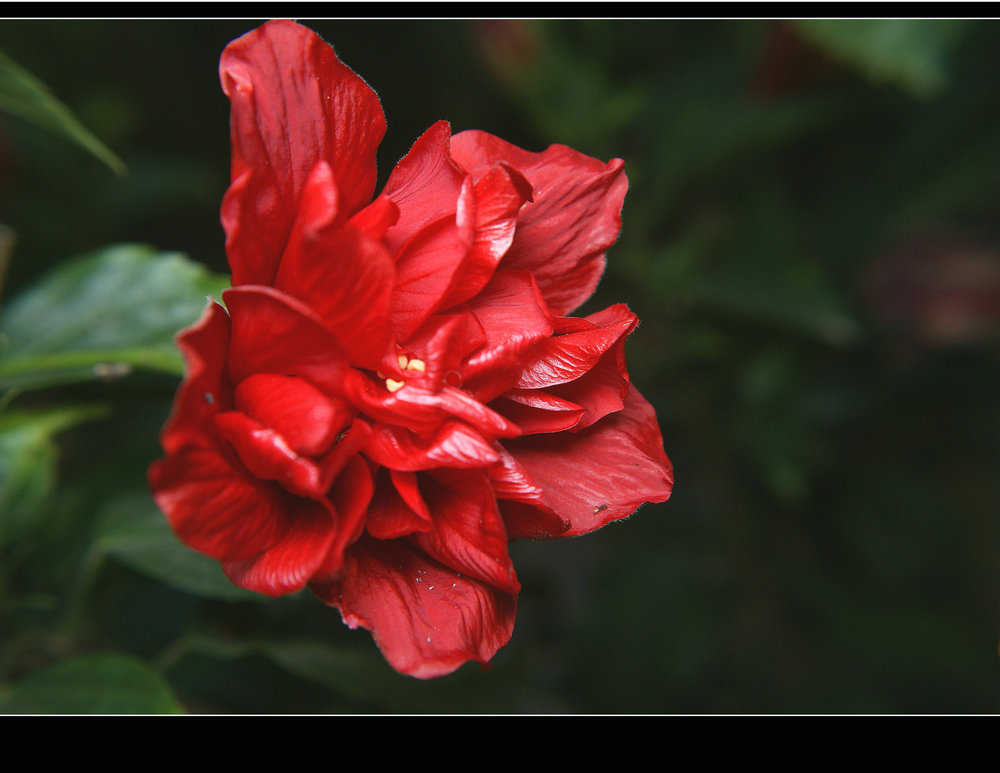 DSC09104.jpg