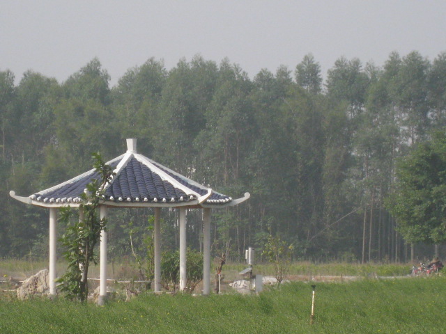 IMG_0011.JPG