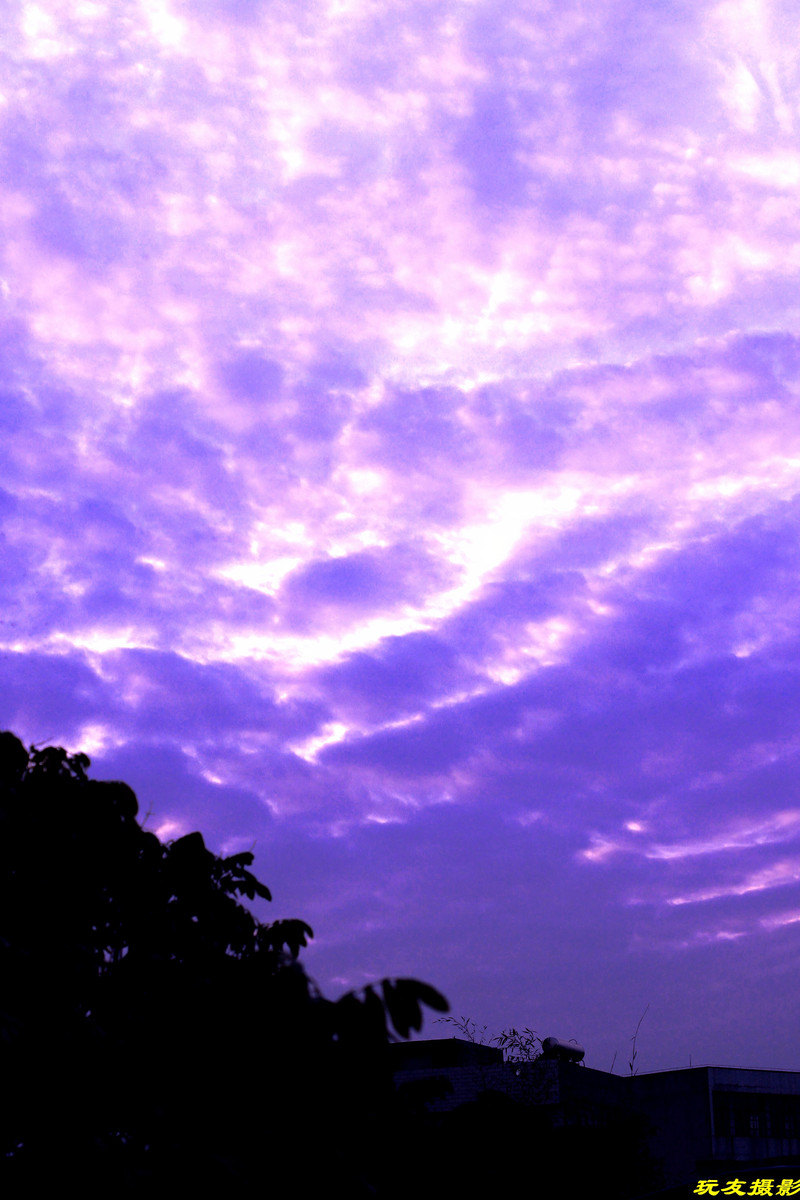a8386471_s.jpg
