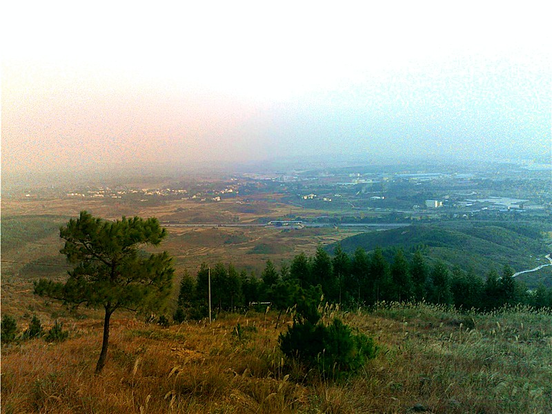 20101208028_副本.jpg