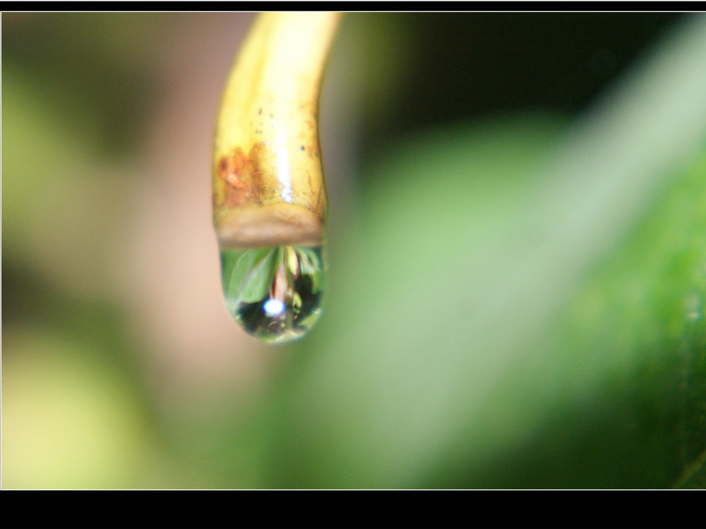 DSC00670.JPG