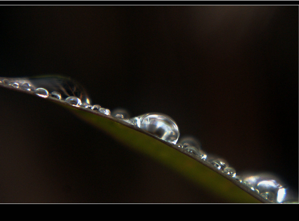 DSC00735.JPG