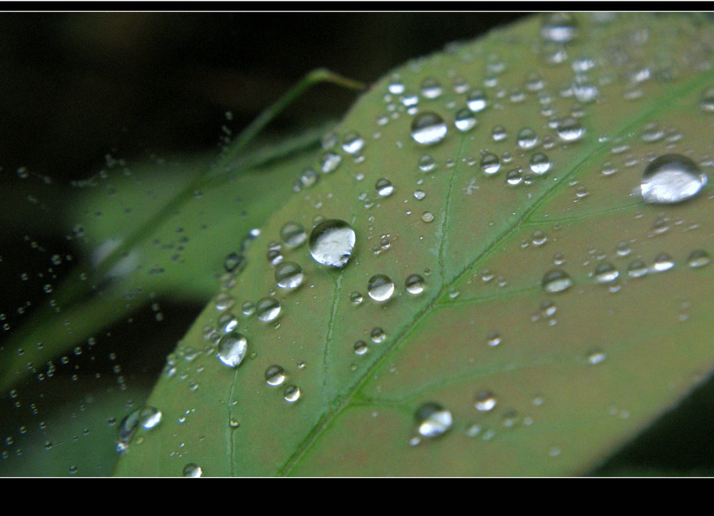 DSC00741.JPG