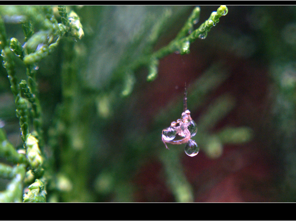 DSC01222.JPG