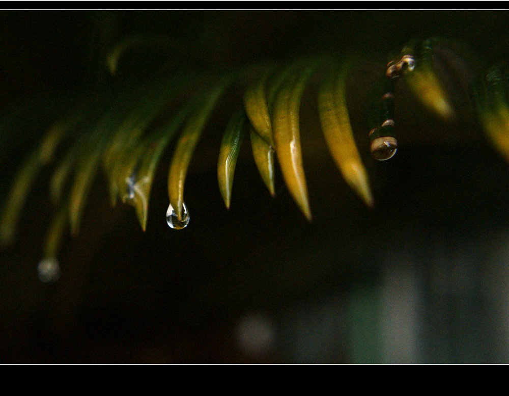 DSC01355.JPG