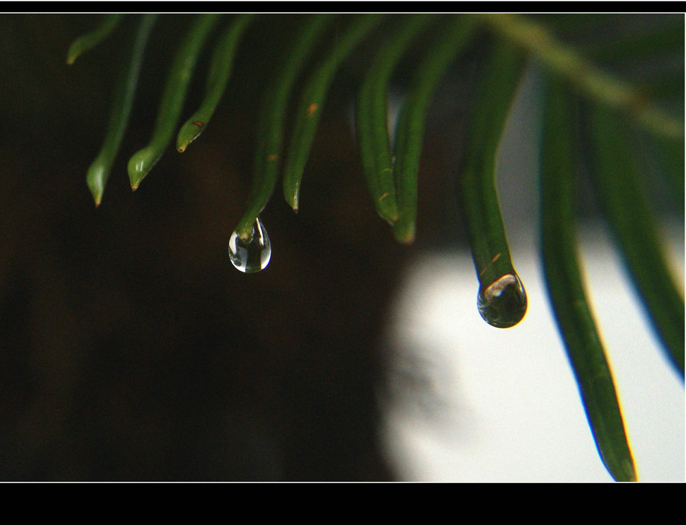 DSC01357.JPG