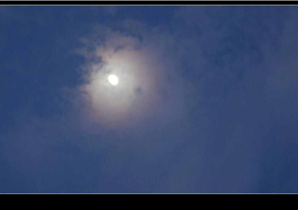 DSC01633.JPG